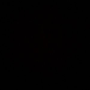 Meet your Posher, Micah